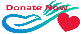 Donate Now